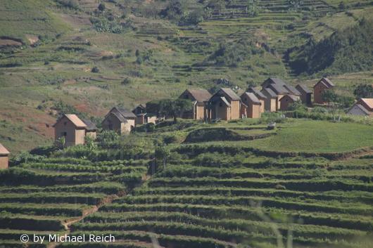 IMG_7445.jpg
