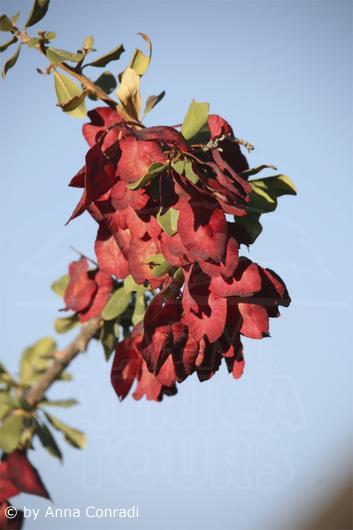 IMG_9598.jpg