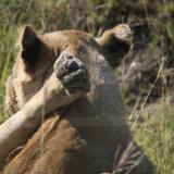 IMG_8621.jpg