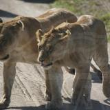 IMG_8634.jpg