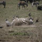 IMG_8748.jpg