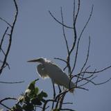 IMG_3337.jpg